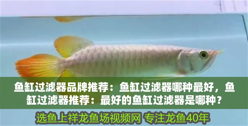 魚缸過濾器品牌推薦：魚缸過濾器哪種最好，魚缸過濾器推薦：最好的魚缸過濾器是哪種？