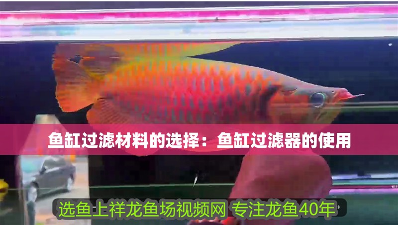 魚缸過濾材料的選擇：魚缸過濾器的使用