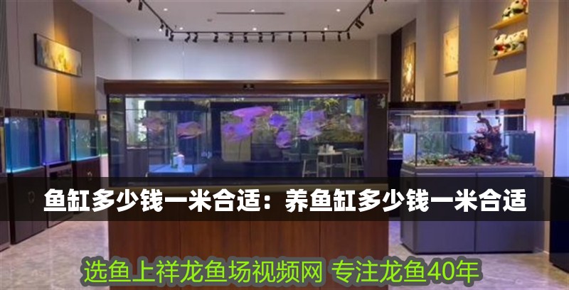 魚缸多少錢一米合適：養魚缸多少錢一米合適 魚缸多少錢一米合適：養魚缸多少錢一米合適 魚缸百科