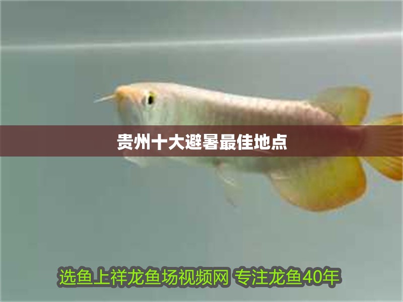 貴州十大避暑最佳地點(diǎn)