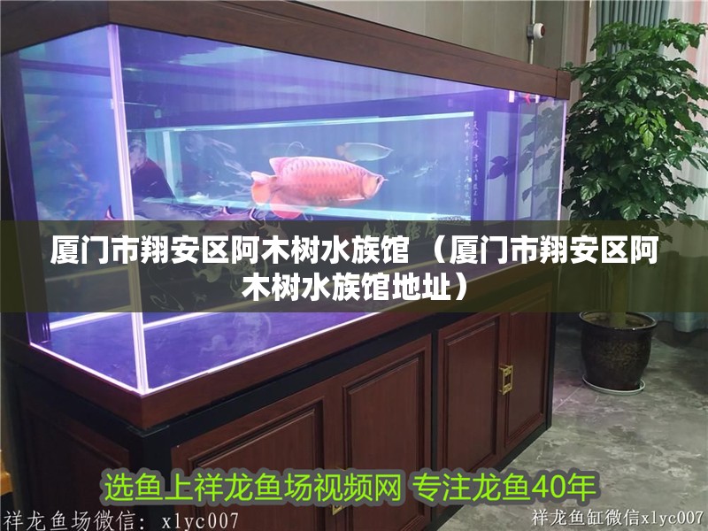 廈門市翔安區阿木樹水族館 （廈門市翔安區阿木樹水族館地址）