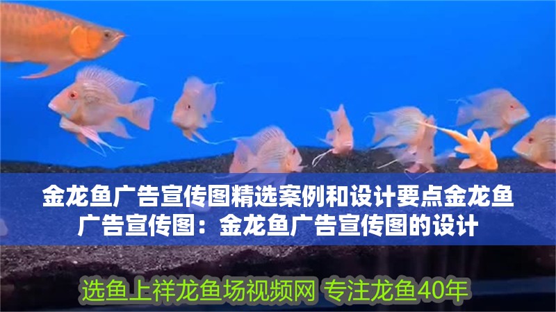 金龍魚廣告宣傳圖精選案例和設計要點金龍魚廣告宣傳圖：金龍魚廣告宣傳圖的設計