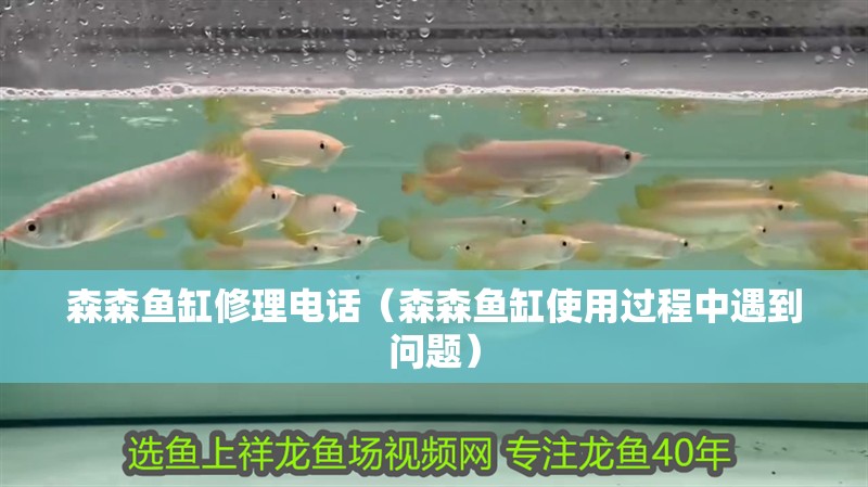 森森魚缸修理電話（森森魚缸使用過(guò)程中遇到問題） 森森魚缸修理電話（森森魚缸使用過(guò)程中遇到問題） 魚缸百科