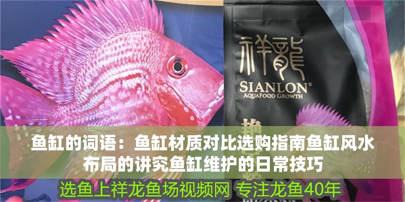 魚缸的詞語：魚缸材質對比選購指南魚缸風水布局的講究魚缸維護的日常技巧