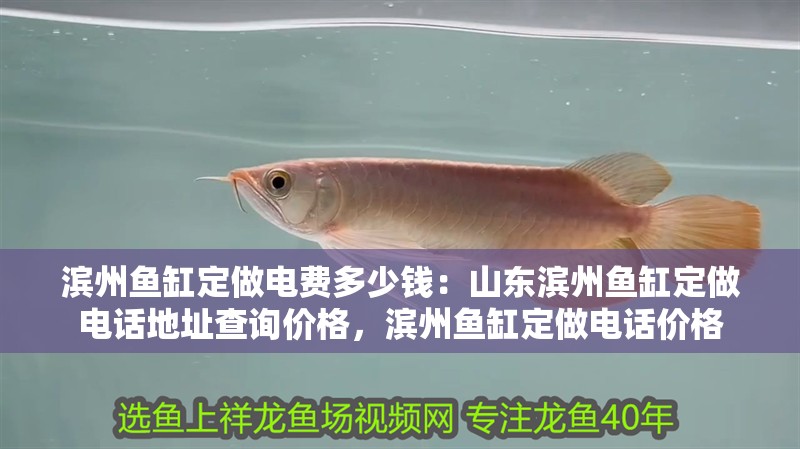 濱州魚缸定做電費多少錢：山東濱州魚缸定做電話地址查詢價格，濱州魚缸定做電話價格
