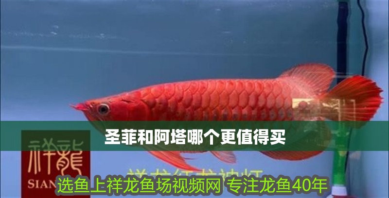 圣菲和阿塔哪個(gè)更值得買