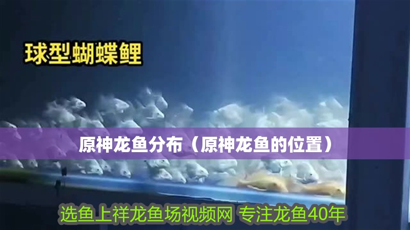原神龍魚分布（原神龍魚的位置）