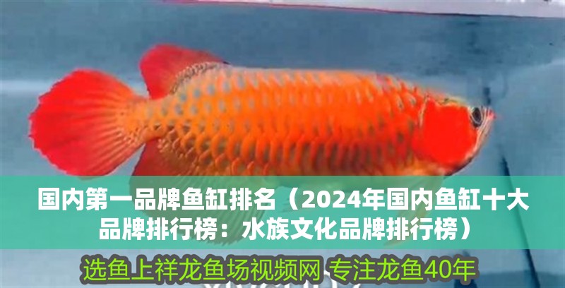 國內第一品牌魚缸排名（2024年國內魚缸十大品牌排行榜：水族文化品牌排行榜）