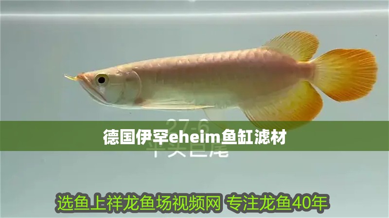 德國伊罕eheim魚缸濾材