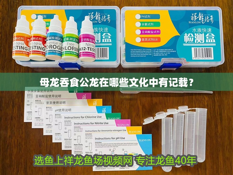 母龍吞食公龍在哪些文化中有記載？