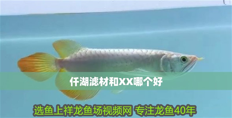 仟湖濾材和XX哪個好
