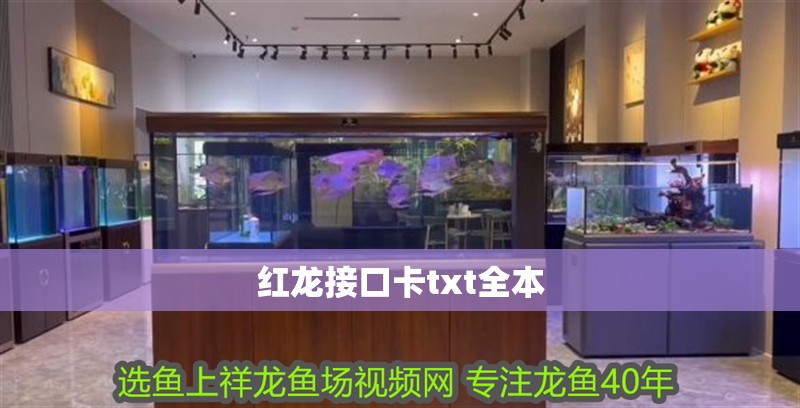 紅龍接口卡txt全本