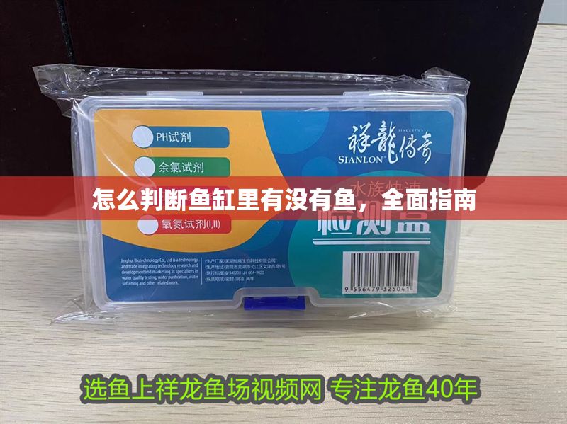 怎么判斷魚缸里有沒有魚，全面指南 怎么判斷魚缸里有沒有魚，全面指南 龍魚百科 第1張