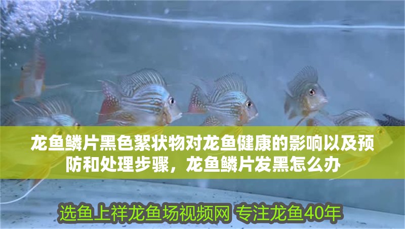 龍魚鱗片黑色絮狀物對龍魚健康的影響以及預防和處理步驟，龍魚鱗片發黑怎么辦