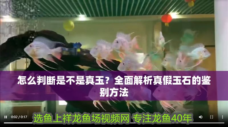 怎么判斷是不是真玉？全面解析真假玉石的鑒別方法