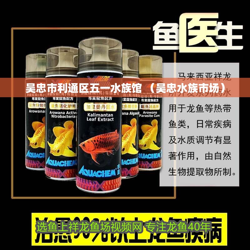 吳忠市利通區(qū)五一水族館 （吳忠水族市場(chǎng)）
