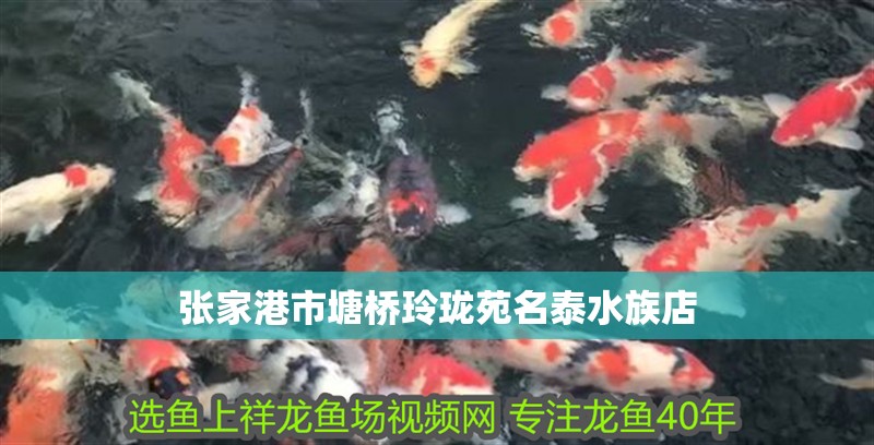 張家港市塘橋玲瓏苑名泰水族店