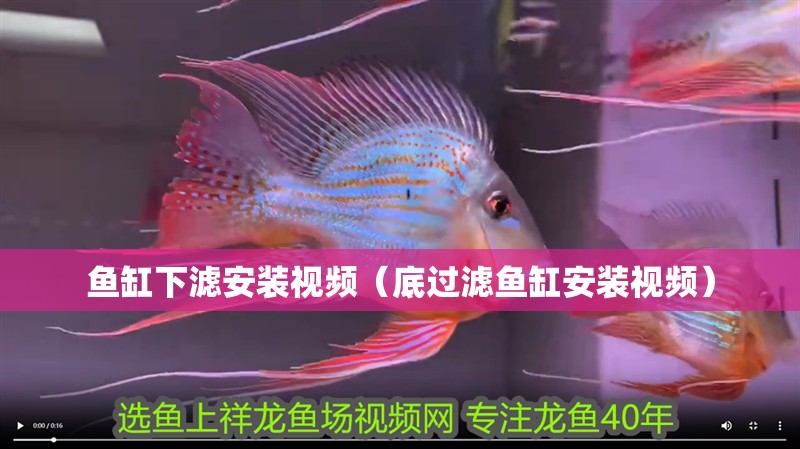 魚缸下濾安裝視頻（底過濾魚缸安裝視頻） 魚缸下濾安裝視頻（底過濾魚缸安裝視頻） 全國(guó)水族館企業(yè)名錄