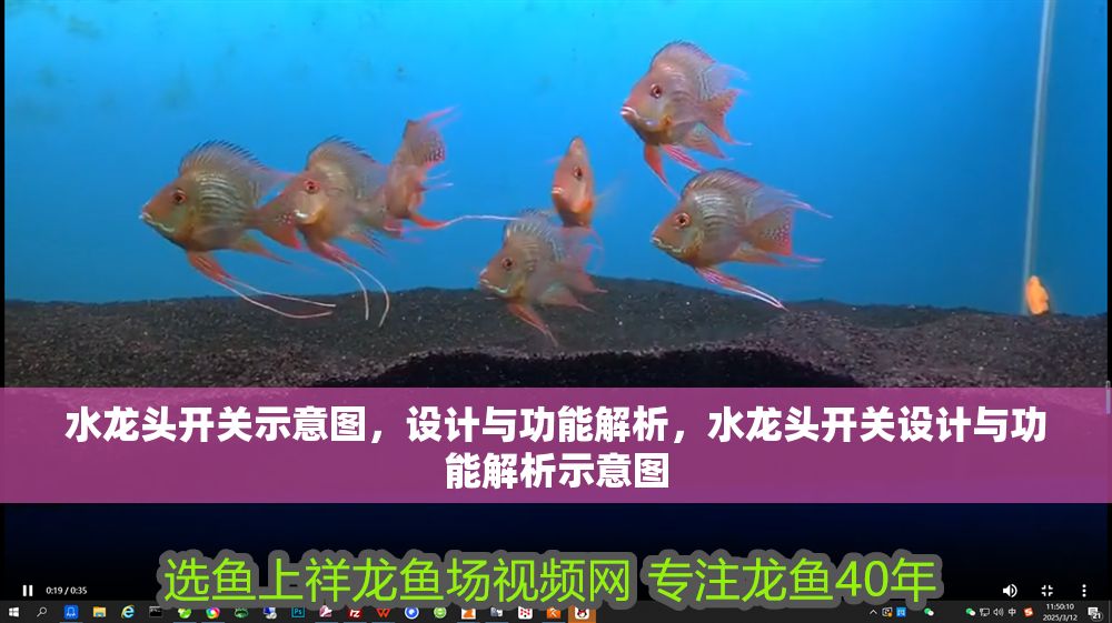 水龍頭開關示意圖，設計與功能解析，水龍頭開關設計與功能解析示意圖