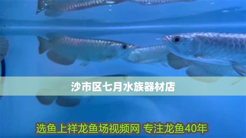 沙市區七月水族器材店 沙市區七月水族器材店 全國水族館企業名錄