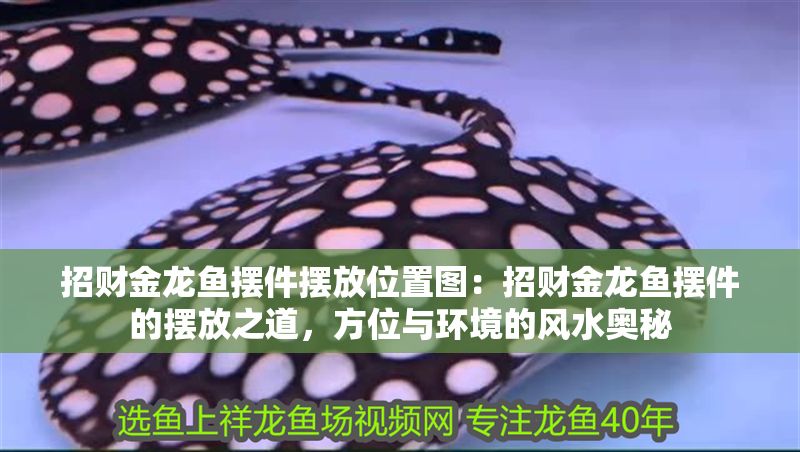 招財金龍魚擺件擺放位置圖：招財金龍魚擺件的擺放之道，方位與環境的風水奧秘