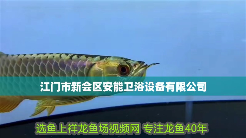 江門市新會區安能衛浴設備有限公司