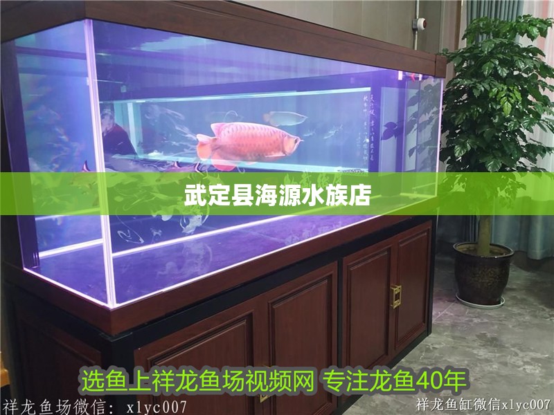 武定縣海源水族店