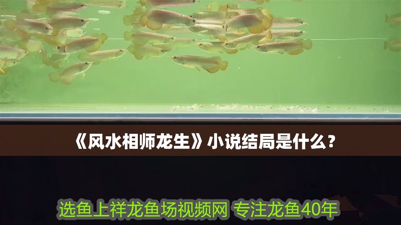 《風(fēng)水相師龍生》小說結(jié)局是什么？