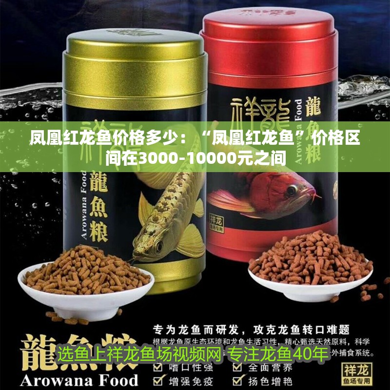 鳳凰紅龍魚(yú)價(jià)格多少：“鳳凰紅龍魚(yú)”價(jià)格區(qū)間在3000-10000元之間