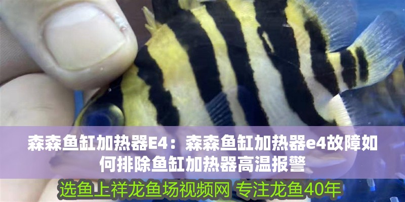 森森魚缸加熱器E4：森森魚缸加熱器e4故障如何排除魚缸加熱器高溫報警