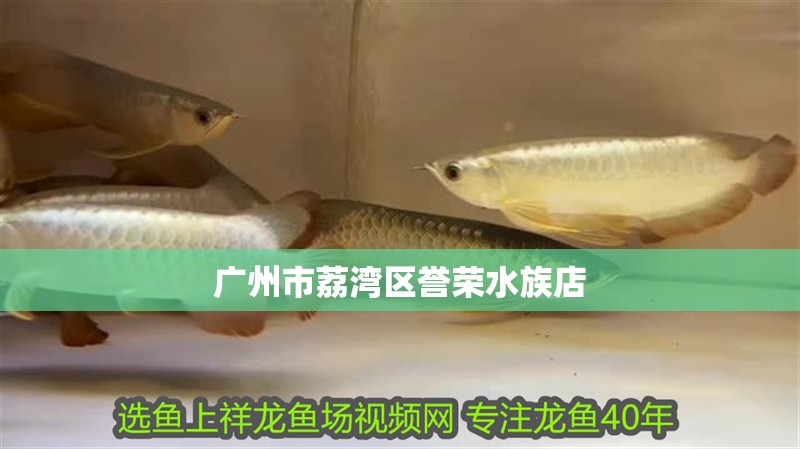 廣州市荔灣區(qū)譽榮水族店
