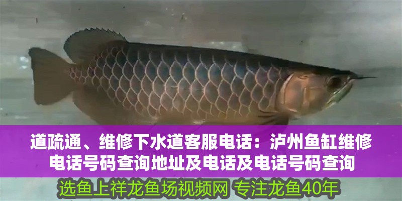 道疏通、維修下水道客服電話：瀘州魚缸維修電話號碼查詢地址及電話及電話號碼查詢
