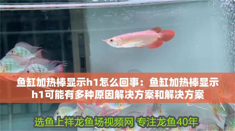 魚缸用增氧泵價格是多少:魚缸增氧機-xtrac增氧機-xtrac增氧機 魚缸加熱棒顯示h1怎么回事:魚缸加熱棒顯示h1可能有多種原因解決方案和解決方案 魚缸百科 魚缸加熱棒顯示h1怎么回事:魚缸加熱棒顯示h1可能有多種原因解決方案和解決方案 魚缸加熱棒顯示h1怎么回事:魚缸加熱棒顯示h1可能有多種原因解決方案和解決方案 魚缸百科