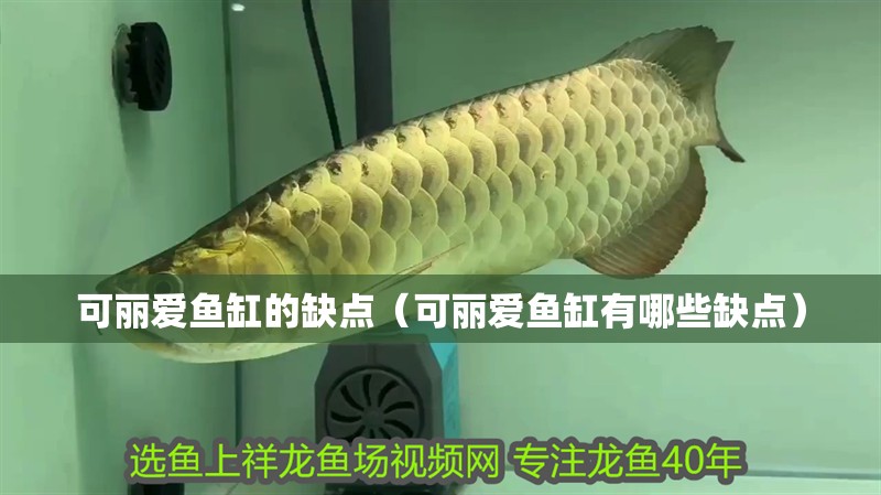 魚缸用增氧泵價(jià)格是多少:魚缸增氧機(jī)-xtrac增氧機(jī)-xtrac增氧機(jī) 可麗愛魚缸的缺點(diǎn)(可麗愛魚缸有哪些缺點(diǎn)) 魚缸百科 可麗愛魚缸的缺點(diǎn)(可麗愛魚缸有哪些缺點(diǎn)) 可麗愛魚缸的缺點(diǎn)(可麗愛魚缸有哪些缺點(diǎn)) 魚缸百科