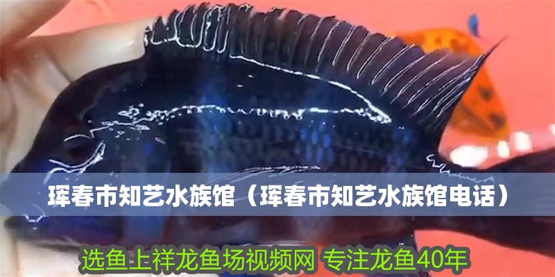 琿春市知藝水族館（琿春市知藝水族館電話）