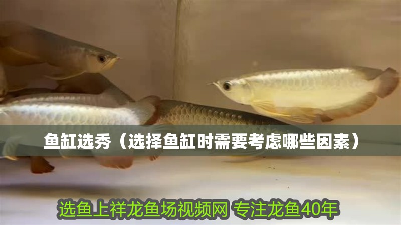 魚缸選秀（選擇魚缸時需要考慮哪些因素）