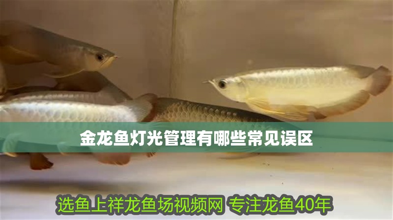 金龍魚燈光管理有哪些常見誤區(qū)