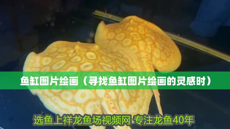 魚(yú)缸圖片繪畫（尋找魚(yú)缸圖片繪畫的靈感時(shí)）
