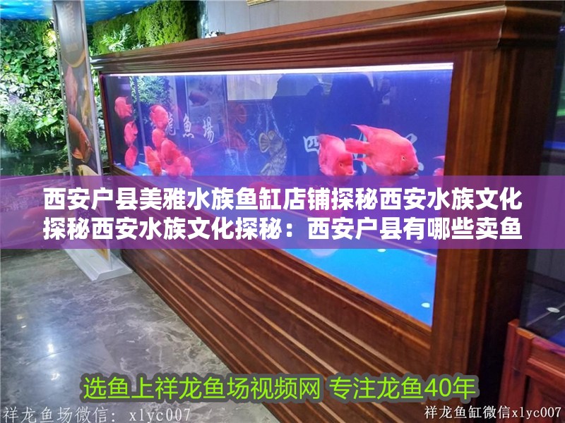 西安戶縣美雅水族魚缸店鋪探秘西安水族文化探秘西安水族文化探秘：西安戶縣有哪些賣魚缸的店子？ 西安戶縣美雅水族魚缸店鋪探秘西安水族文化探秘西安水族文化探秘：西安戶縣有哪些賣魚缸的店子？ 魚缸百科
