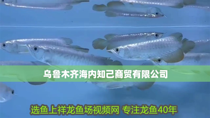 烏魯木齊海內知己商貿有限公司