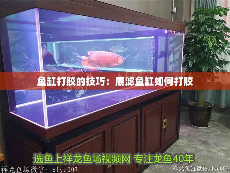 魚缸打膠的技巧：底濾魚缸如何打膠