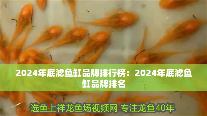 2024年底濾魚缸品牌排行榜：2024年底濾魚缸品牌排名