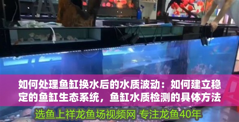 如何處理魚缸換水后的水質波動：如何建立穩定的魚缸生態系統，魚缸水質檢測的具體方法