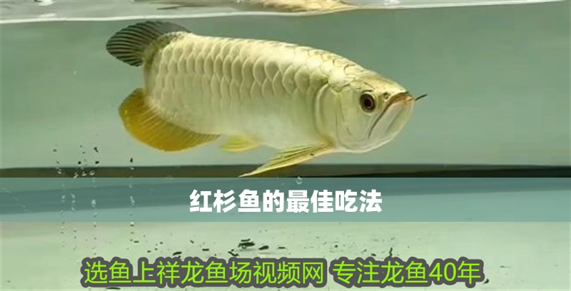 紅杉魚的最佳吃法