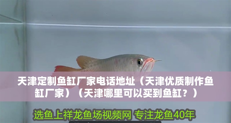 紅龍魚用黃燈烤有用嗎 天津定制魚缸廠家電話地址(天津優質制作魚缸廠家)(天津哪里可以買到魚缸?) 魚缸百科 天津定制魚缸廠家電話地址(天津優質制作魚缸廠家)(天津哪里可以買到魚缸?) 天津定制魚缸廠家電話地址(天津優質制作魚缸廠家)(天津哪里可以買到魚缸?) 魚缸百科