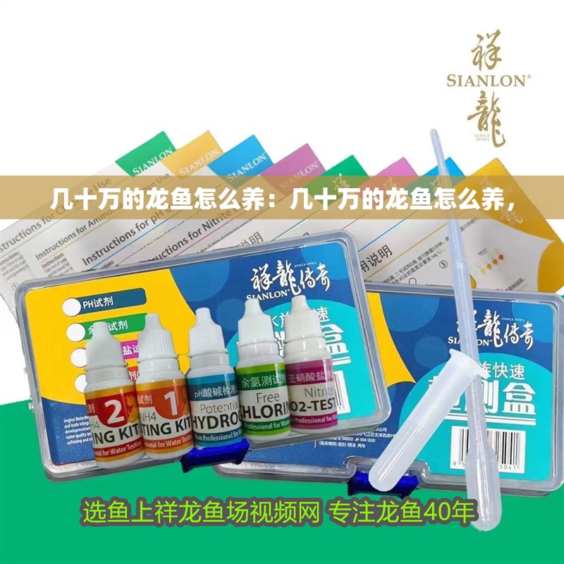 幾十萬的龍魚怎么養：幾十萬的龍魚怎么養，