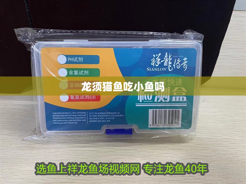 龍須貓魚吃小魚嗎