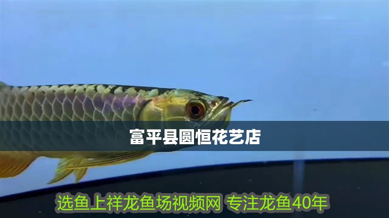 <strong><mark>富平</mark></strong>縣圓恒花藝店