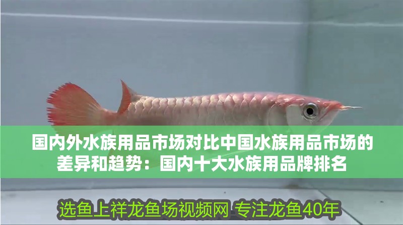 國內外水族用品市場對比中國水族用品市場的差異和趨勢：國內十大水族用品牌排名