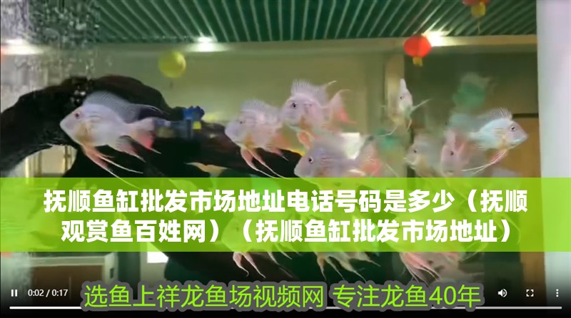 撫順魚缸批發(fā)市場地址電話號碼是多少（撫順觀賞魚百姓網）（撫順魚缸批發(fā)市場地址）